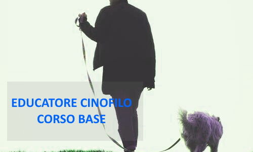 Corso per Cinofilo( IN AGGIORNAMENTO)