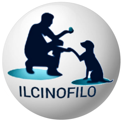 ILCINOFILO